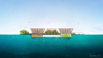 Alle bebygde strukturer skal holdes under sju etasjer. Foto: BIG-Bjarke Ingels Group