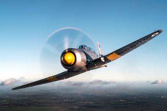 Hawker Sea Fury, et av de siste propellflyene i Royal Navy og blant de aller raskeste med stempelmotor, kommer til Sola og Kjeller i helga. Foto: George Romain/<a href="https