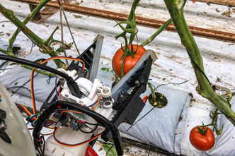 Foto: Fieldwork Robotics