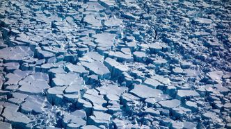 Overflaten på den surgende delen av breen er i konstant og rask bevegelse og er derfor svært oppsprukket. I dette tilfellet på Austfonna er området med sprekker på hele 50 x 25 km. De raske endringene i sprekkene gjør det svært farlig å oppholde seg på breen og sette ut måleinstrumenter. Da de raske bevegelsene på Austfonna startet i 2012, hadde UiO-forskerne allerede satt ut instrumenter. Foto: Thomas Vikhamar Schuler