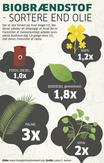 Illustrasjon: MI Grafik