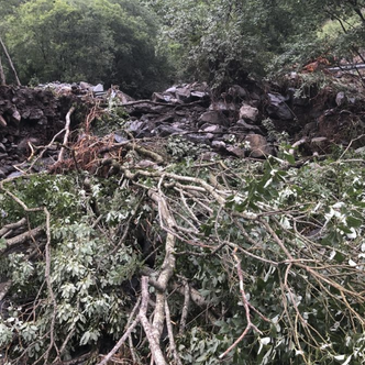   Foto:  Tor Øyvin Aa