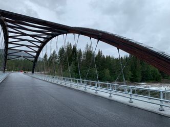 Nybrua er en nettverksbuebru av limtre, stål og betong. Foto: Eli Ramstad, Statens vegvesen