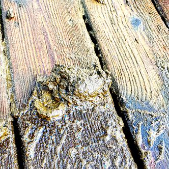 Skitt: Ryobibørsten trenger en vannet terrasse, eller regnvær, for å virke godt. Men da velter det også opp skitt i klumper i mengder vi ikke hadde drømt om. Foto: Odd R. Valmot