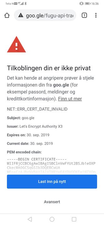 Domenet goo.gle benytter sertifikat fra Let's Encrypt. Skjermbilde: digi.no
