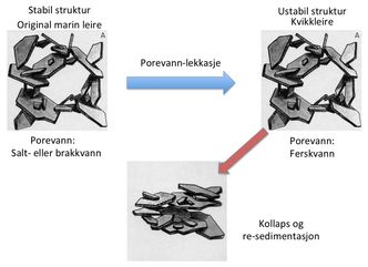 Dannelse av marin kvikkleire etter istidens slutt: Når saltet som blir fanget i leiren da den ble avsatt i havet vaskes ut etter landhevingen, reduseres kreftene som holder leirmineralene sammen.