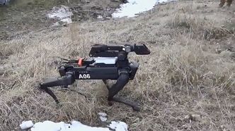 Spot kan ferdes i svært ulendt terreng, til robot å være. Foto:  MA State Police