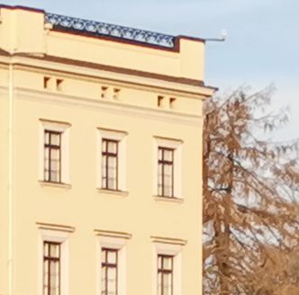 Alle pikslene: Huawei Nova leverer godt med 48 MP i aksjon, men blir slått av Motorola sine 64. Foto: Odd Richard Valmot
