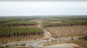 Fellingsarbeid på Teslas tomt i Grunheide i Brandenburg. Foto: Tesla Kid Grünheide