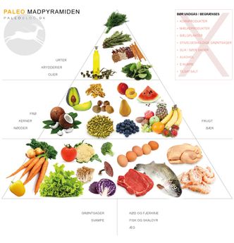 Steinalderkost har blitt populær mat, og den nøyaktige sammensetningen er det mange teorier om. Her er en matpyramide utarbeidet av Paleoblog.dk Illustrasjon: Paleoblog.dk