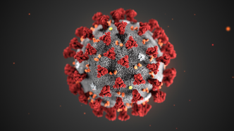 Ledig datakraft over hele verden skal nå brukes til å bekjempe koronaviruset. Foto: Centers for Disease Control and Prevention