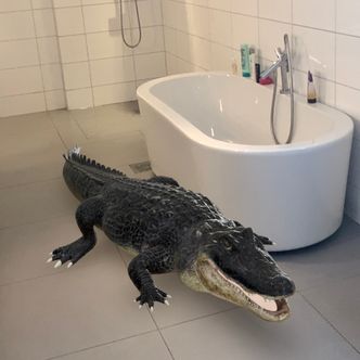 En alligator på badet eller en krokodille i taket. Velg selv. Foto: Svein-Erik Hole