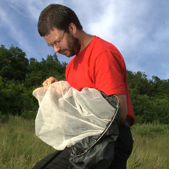 – Billegenitalienes utforming fungerer nærmest som en fasit i insektbestemmingen, forteller Frode Ødegaard. Foto: Jake Bryant/Gemini
