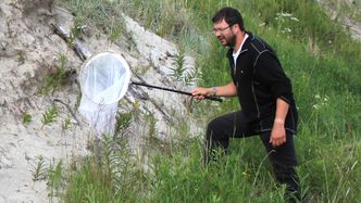 Å være småkrypforsker, kan være et tålmodighetsarbeid. Den mulige nye arten, hvilke type plante trives den best på? Foto: Agne Ødegaard/Gemini