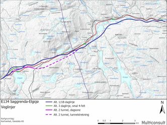 Veilinjene går sør for dagens E134 fra Saggrenda til Jerpetjønn. Illustrasjon: Statens vegvesen