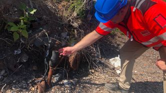 Steinar Sidselrud, sjef for forurensningsseksjonen i kommunens eiendomsetat (EBY), har funnet bakparten på ei gammel folkevogn-Boble som stikker ut av det gamle deponiet. Foto: Ellen Synnøve Viseth
