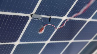 – Normalt er det transparent mellom solcellene, men det hvite reflektorlaget mellom cellene her gjør at de produserer 5 watt ekstra, sier forsker Junjie Zhu fra IFE. Den røde sensoren montert på panelet er en temperaturtransmitter som sender informasjon om cellens overflatetemperatur til IFE en gang i sekundet. Foto:  Mona Strande