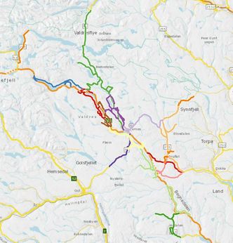 Kart over området for driftskontrakten i Valdres. De ulike fargene viser rodefordelingen. Skjermbilde: Vegkart/Statens vegvesen