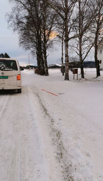 Fylkeskommunen har fått en del tips knyttet til skadeverket, og har vært i kontakt med Politiet og bedt om bistand for å håndtere det. Foto: Trøndelag fylkekommune