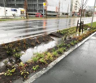 Foto: Statens Vegvesen