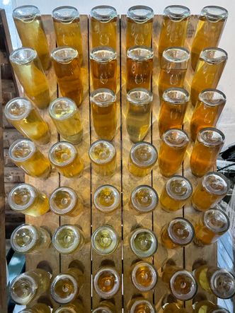 – Vi kan ikke bare putte kullsyre i en druemost og lage noe som ligner en dårlig prosecco - vi må konkurrere på kvalitet og særegenhet, sier Marius Egge, som lager musserende vin på champagnemetoden. Foto:  Svein-Erik Hole