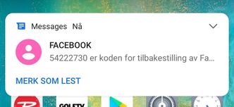Kode for å tilbakestille kontoen din, bør ikke deles med noen. Skjermbilde: Delt av Slettmeg.no