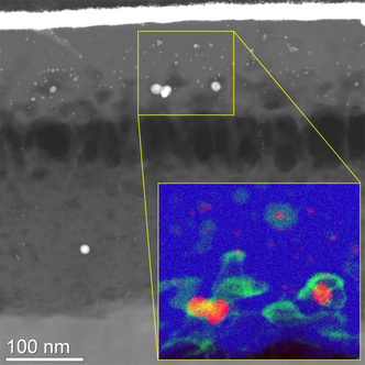Her har forskerne kapslet inn proteindekte gullnanopartikler i en mikroskopisk glassdråpe. Teknikken åpner for kjemisk analyse i et elektronmikroskop. Gullet er rødt, proteinene er grønne og glasset er blått.