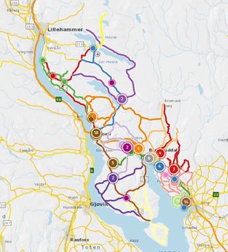 De forskjellige fargene på veinettet indikerer de forskjellige rodene i kontrakten. Illustrasjon:  Vegkart/Statens vegvesen