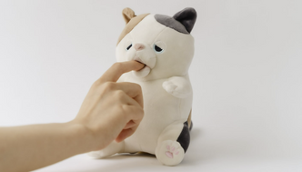 Amagami Ham Ham Foto: Amagami