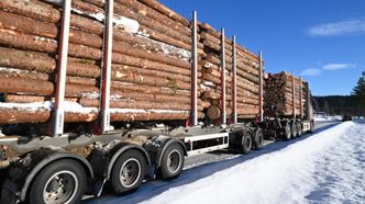Mange hjul r etter hverandre i samme spor i løpet av kort tid, gir en pumpeeffekt eller en bølgebevegelse som pumper løsmasser og vann opp i veiens bærelag. Foto:   Roar Ree Kirkvold