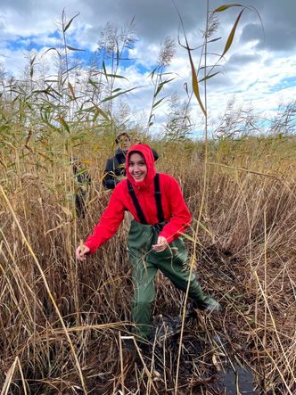 Forsker Emily Cowan jakter på ulike arter og tidevannssumpens evne til å lagre CO2. Her er hun i felt utenfor Stockholm. Foto:  Rachel Tiller/Sintef