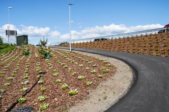 Det er plantet 110 trær og 5500 busker av ulike slag Foto: Jarle Skoglund