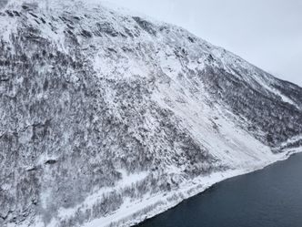 Skredet sist vinter dekket 250 meter av Beisfjordveien ved Blomlia. Foto: Thomas Nystad/Sweco
