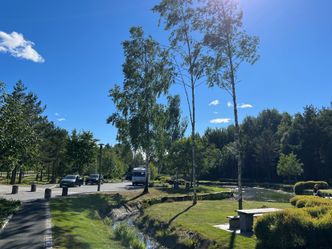 Gode fasiliteter for trafikantene langs veien er viktig. Her Østerholtheia rasteplass ved E18 nordover mot Telemark. Foto: Henriette Erken Busterud