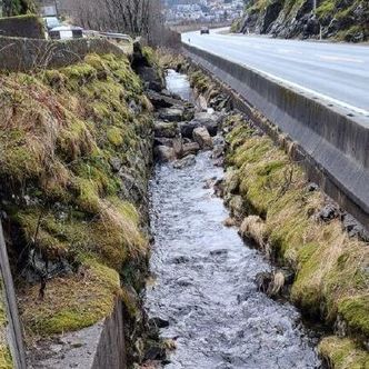 Dalseidvegen ligger bare et par meter fra E16. Foto: Sweco/Vaksdal kommune