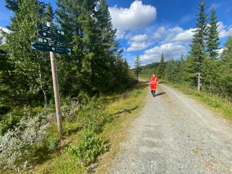 I dette området skal miljørådgiver Even Stensrud og Vegvesenet reparere gammel ødelagt myr med ny myr fra riksvei 4-prosjektet over Lygna. Foto: Per Kollstad/Statens vegvesen