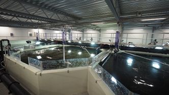 Et eksempel på et digitalisert og energieffektivt RAS-oppdrettsanlegg med teknologi fra Schneider Electric og AVEVA, levert via Nofitech: Erko Settefisk på Sagvåg, Stord. Foto: Stefania R. Nilsen