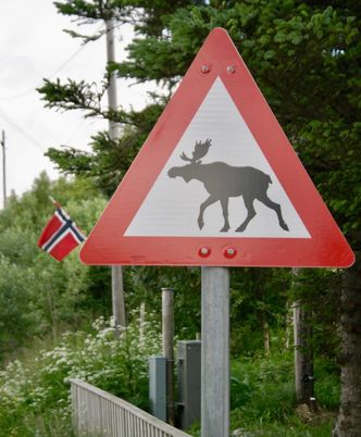 Fareskiltene er basert på kunnskap om hvor dyrene befinner seg. Du må ta hensyn til dem. Foto: Pixabay.