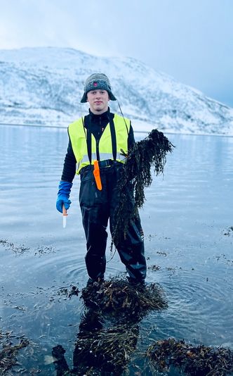Produkter fra tang og tare kan bli enda viktigere i framtida. Bærekraftig produksjon er grunnleggende. Steffen Tobiassen er en av årets russ i Hammerfest som hjelper Polar Algae å håndhøste tang til forskning. Foto: Polar Algae