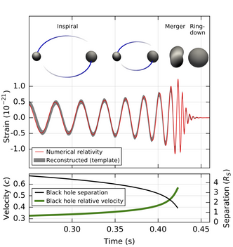 Gravitasjonsbølge fra to sorte hull som spinner rundt hverandre (Inspiral) inntil de smelter sammen (Merger og Ringdown), fanget opp av LIGO. Den røde sinuskurven viser hvordan bølgen får avstanden mellom detektorene til å oscillere. Det hele er over i løpet av et øyeblikk. Illustrasjon: B. P. Abbot et al