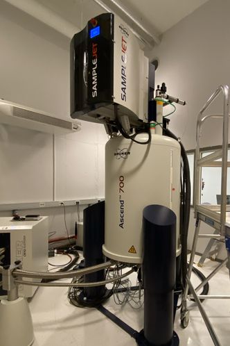 Spektroskopet er svært, men jobbar med ørsmå objekt. Den store tanken er fylt med flytande helium som er -269 gradar. Det trengs for å kjøle ned magneten i spektroskopet. Foto: Marit Melbye Sørensen/UiT