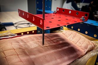 Å ligge på én spiker er farlig, men selv med 5 kilos trykk trenger ikke spikeren gjennom huden på ribba. På en spikermatte fordeles trykket utover, sånn at vekten per spiker bare er noen få hundre gram. Foto: Sølvi W. Normannsen/NTNU