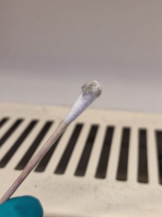 Forskerne finner DNA i støv som har ligget i kriker og kroker i opptil to år. Foto:  Morten S. Smedsrud/Apollon