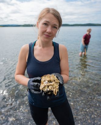 Une Bastholm, Stortingsrepresentant for Akershus MDG. <span>Foto: Privat</span>