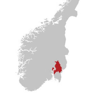 5000 kvadratkilometer med tareskog er allerede blitt borte. Til sammenlikning er Akershus fylke 5 472 kvadratkilometer stort. Illustrasjonen bygger på grafikk fra Geonorge/Kartverket og er tilpasset av Magali Courtade. Foto: Magali Courtade