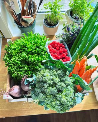 Det finnes sunn mat på butikken. Men ikke alle har råd eller tilgang likevel. Foto: Ellen Kathrine Bludd/UiT