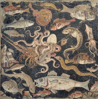 I artikkelen bruker Atmore og Star denne mosaikken fra Pompeii som eksempel på hvor viktige de marine ressursene har vært i lang tid. Den viser 21 arter av fisk, blekkspruter og andre arter. Foto: Carole Raddato/CC BY-SA 2.0