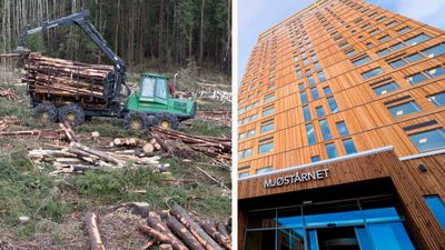 Treindustrien bygg i tre per kristian rørstad Max Vittrup Jensen nmbu norsus biomasse skog hogst klima utslipp trematerialer massivtre parisavtalen