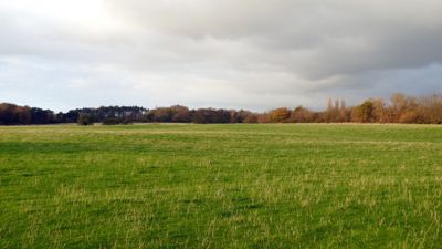 Et grønt tomt jorde, som ender i litt skog