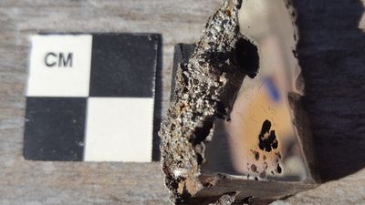 Denne biten av meteoritten er nå plassert i University of Albertas meteorittsamling. Biten inneholder to mineraler som aldri tidligere er funnet på jorden.